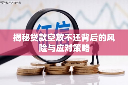 大丰揭秘贷款空放不还背后的风险与应对策略